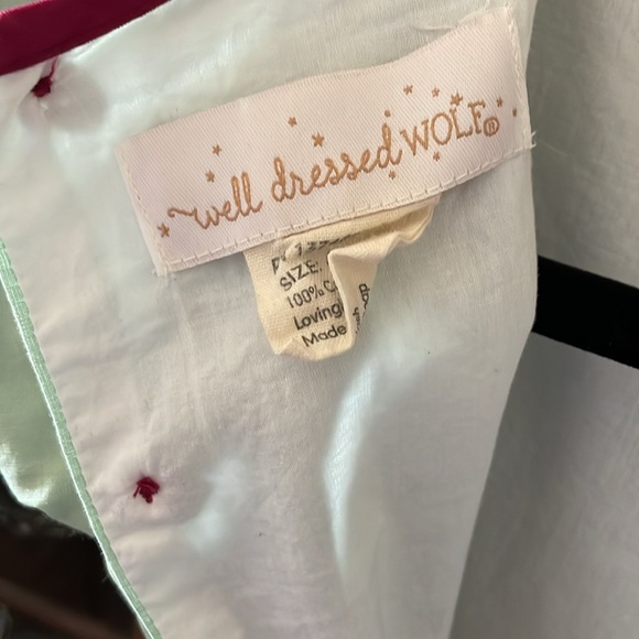 Well Dressed Wolf dress - Picture 6 of 7